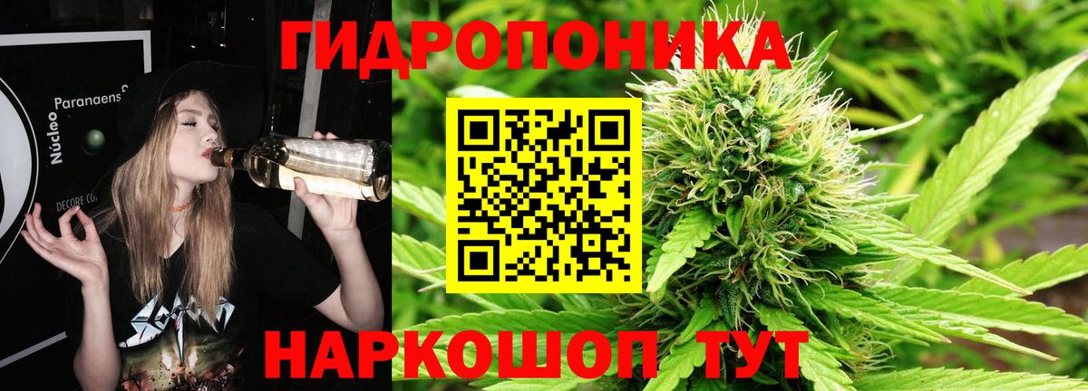 Канабис марихуана  Шишки марихуана план  Москва  Вход с VPN  МАРИХУАНА план 