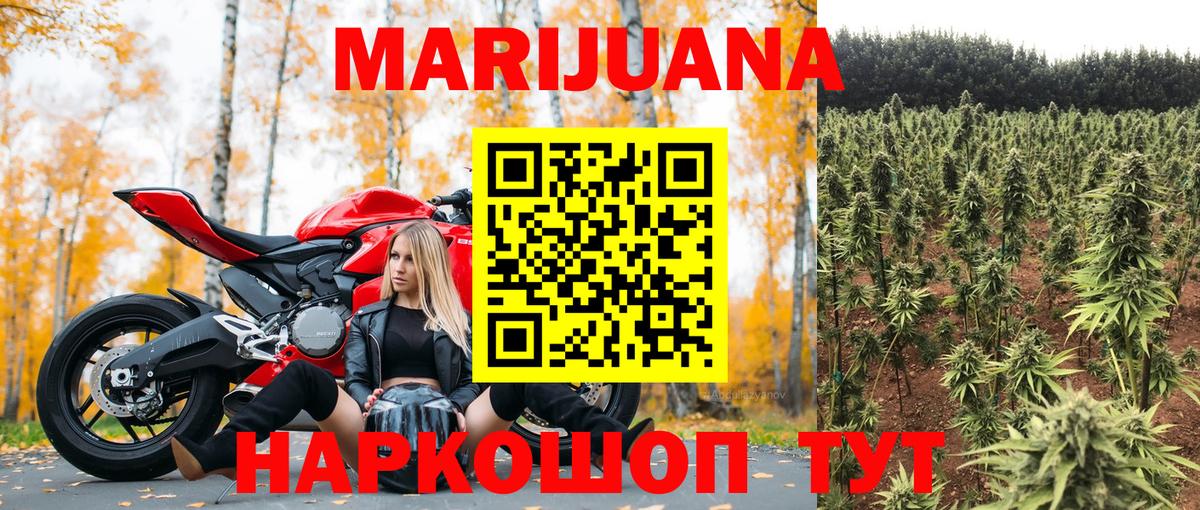Канабис гибрид Москва
